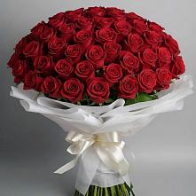 Букет 101 Красная роза Блэк Мэджик в Кимовске