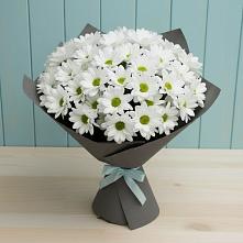 Букет цветов из:  Хризантемы в Кимовске