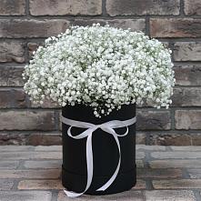 Цветочная композиция из Гипсофила в шляпной коробке в Кимовске