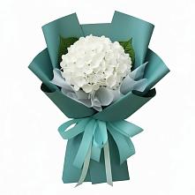 Букет цветов из:  Гортензия #REPLACE_PRED# Кимовске